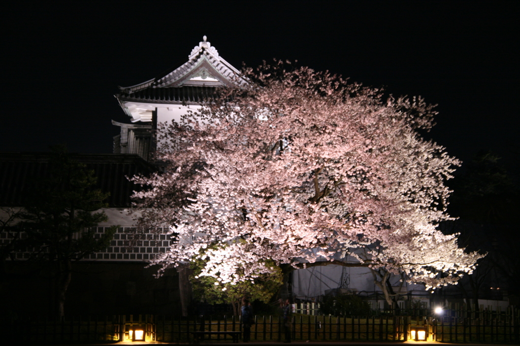 金城
