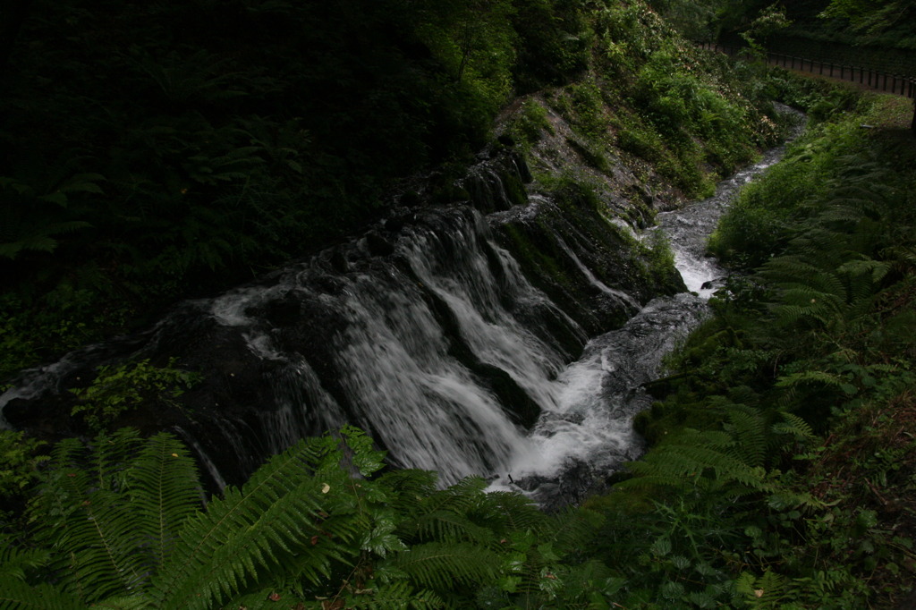 白糸の滝２