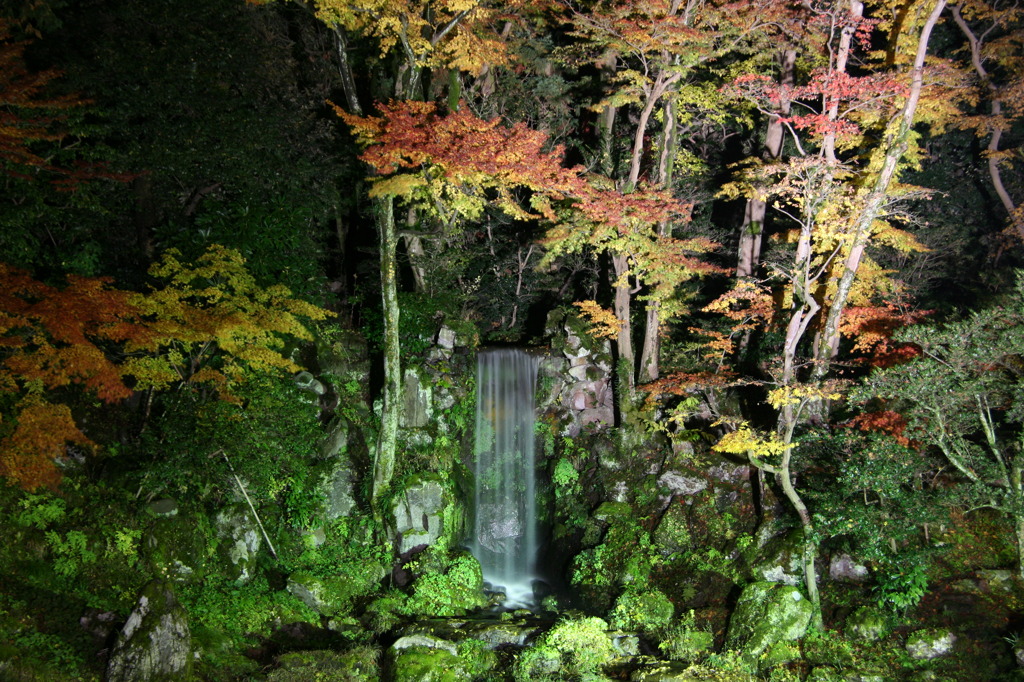 滝