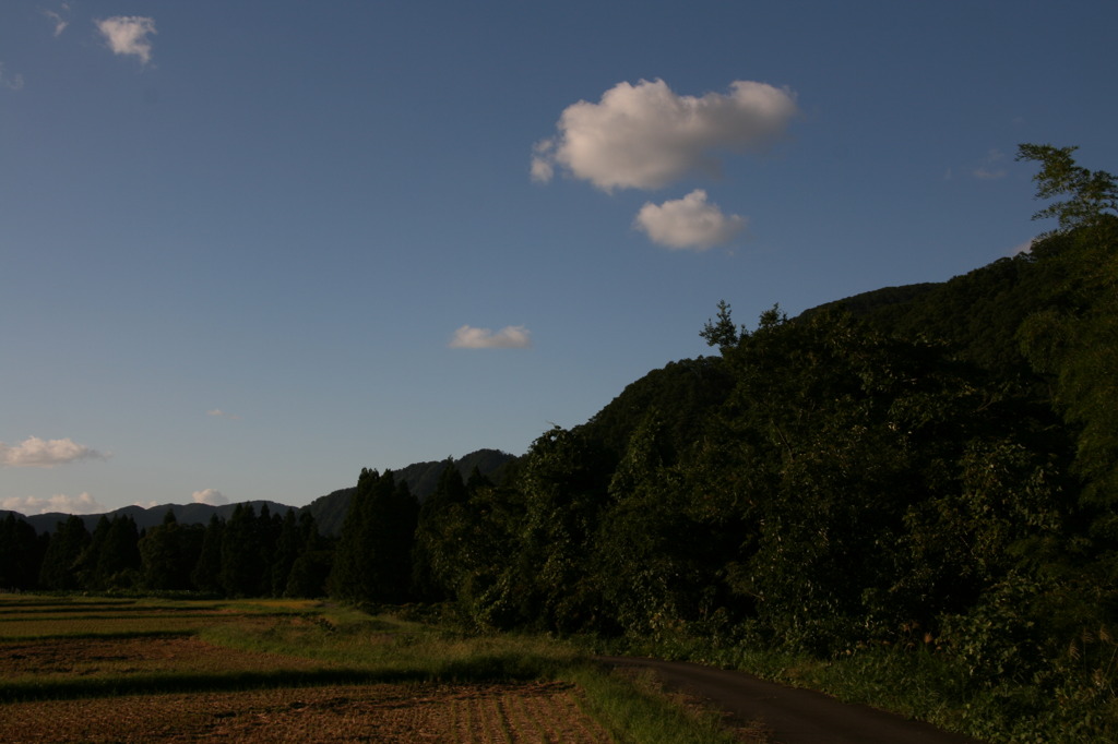 雲