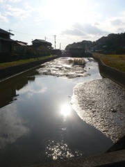 水辺のヌクモリ