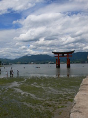 引き潮時の鳥居