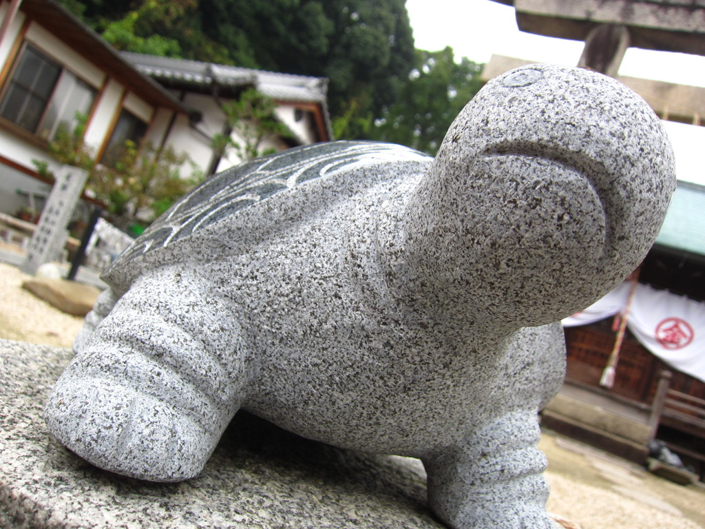 おぅっなにみとんじゃぁっ