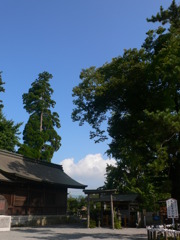 夏の神社