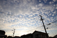雲の群れ