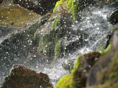 splash out!!