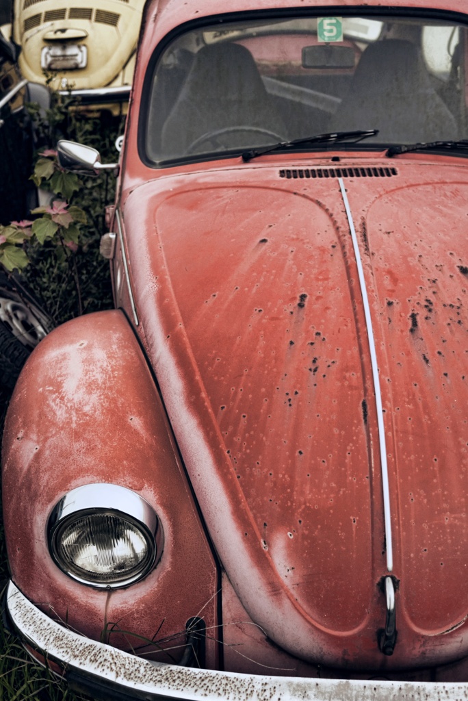 Volkswagen6