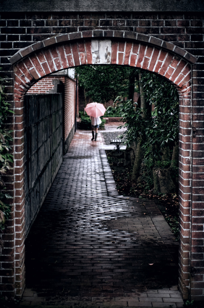 雨