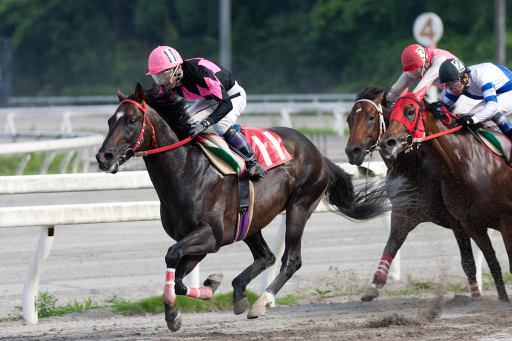 高知競馬