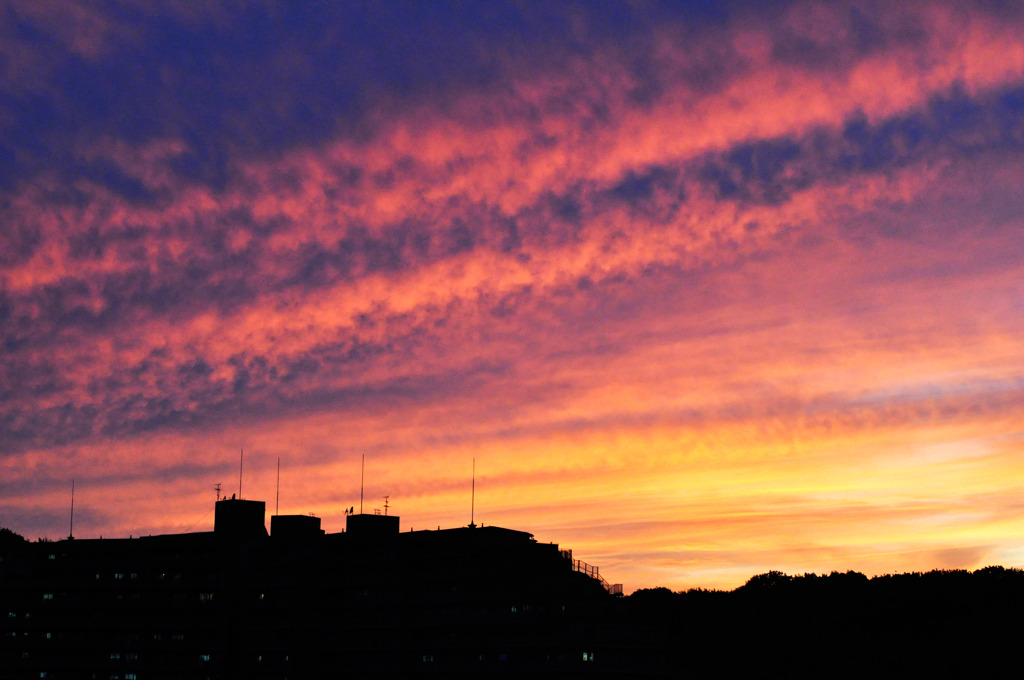 夕画３