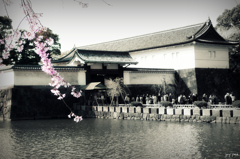 春