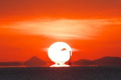 だるま朝日