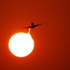 太陽にほえろ！