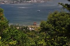 山の上から鳥居を望む