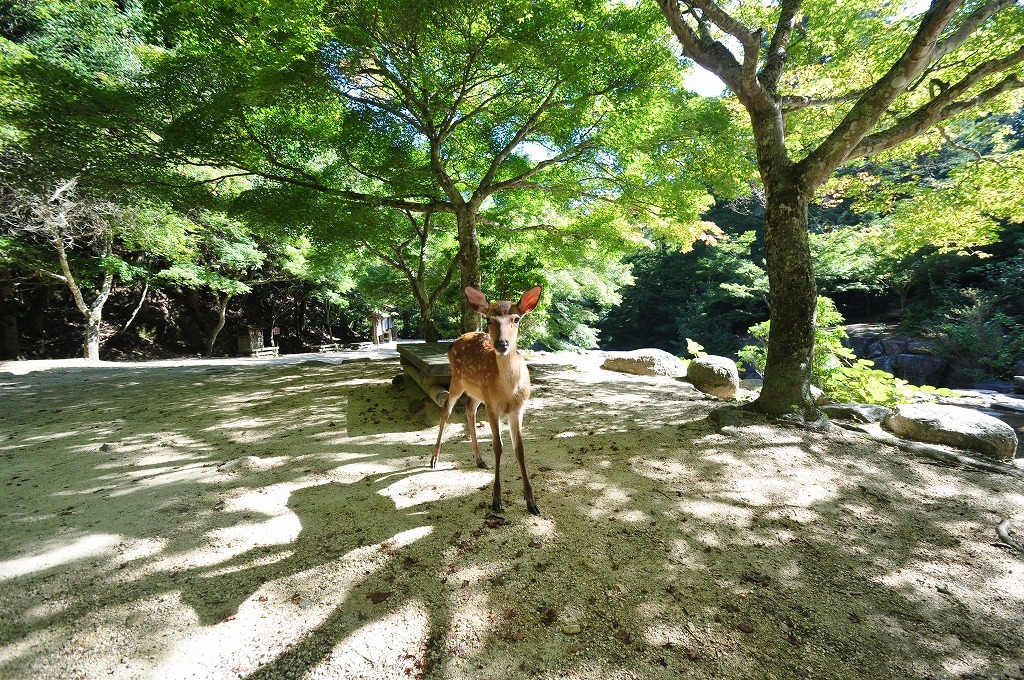 ねェねェ遊んで～♪♪