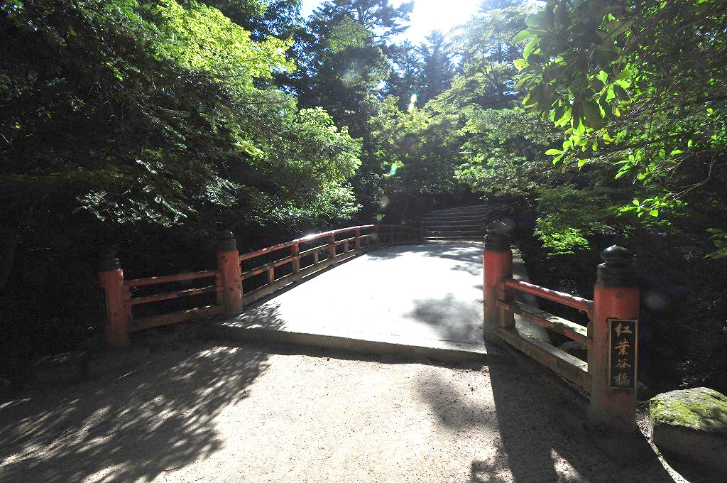 もみじ谷