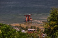 山の上から鳥居を望む
