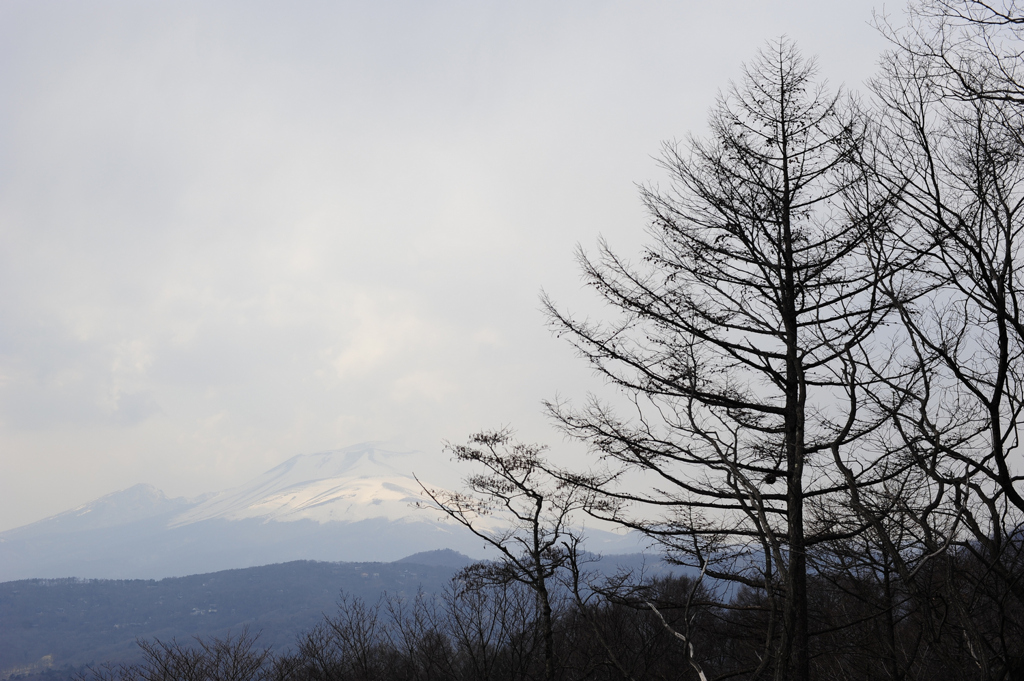 早春の浅間山～その２