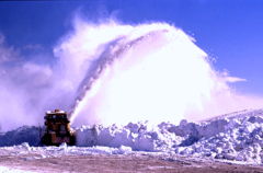 排雪作業