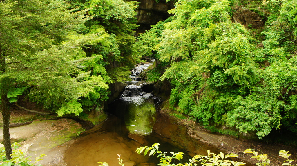 亀岩の洞窟