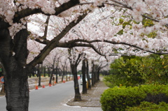 市原運動公園　