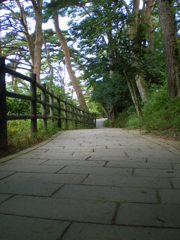 松島　福浦島より