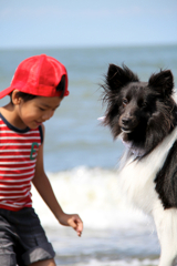 わたしが主役！