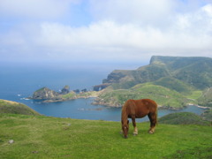 隠岐　西ノ島　国賀海岸