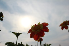 上を向いて