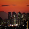 (Mt.Fuji+Shinjuku)xRED