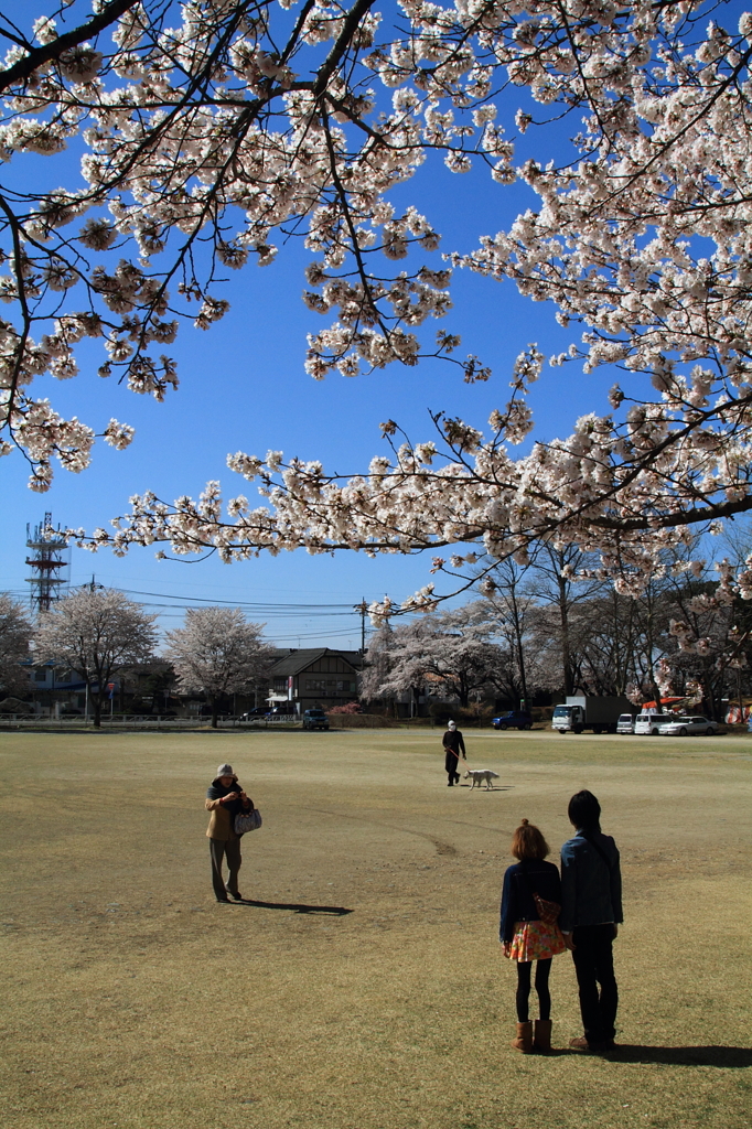 桜と共に　ハイチーズ