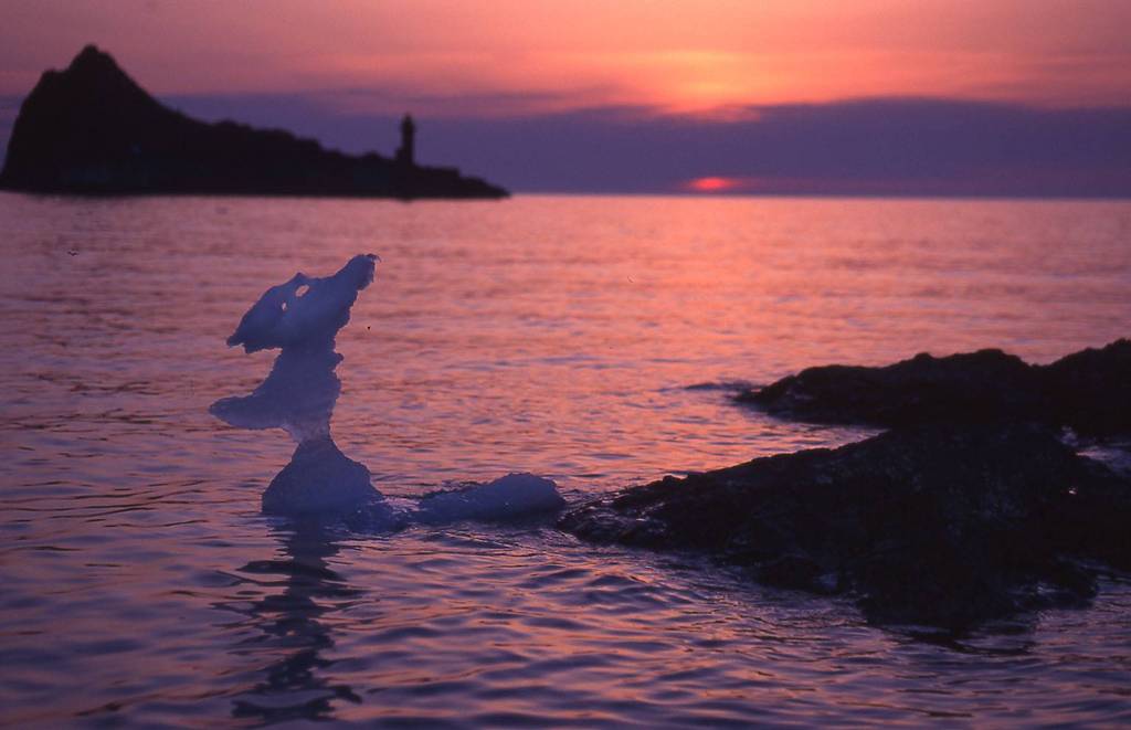 流氷の忘れ物