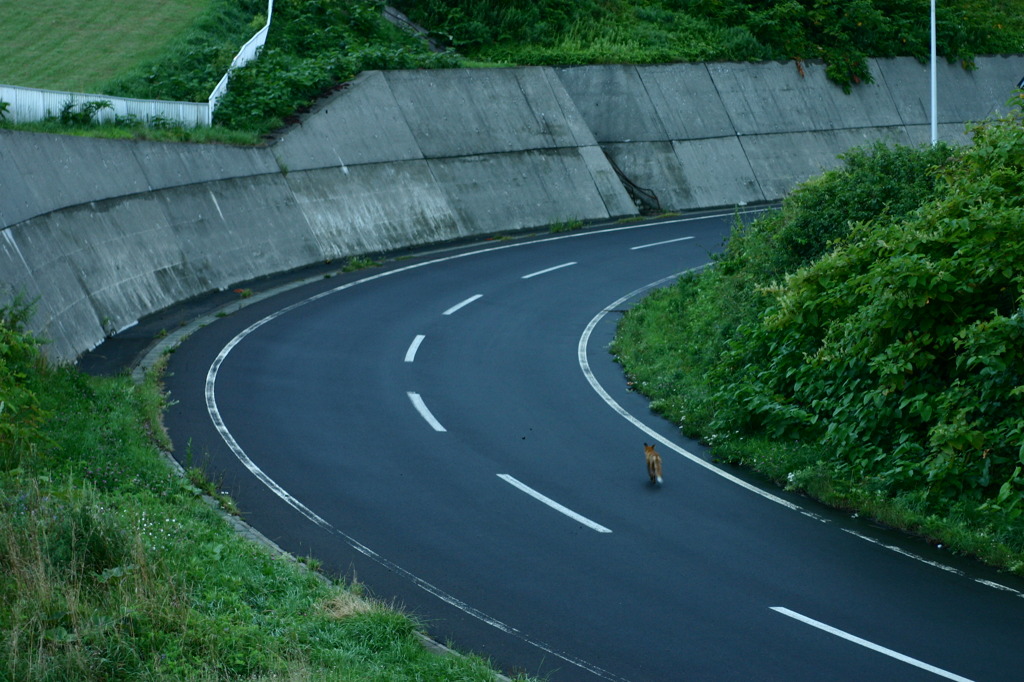 帰り道