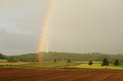 虹と風車