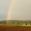 虹と風車