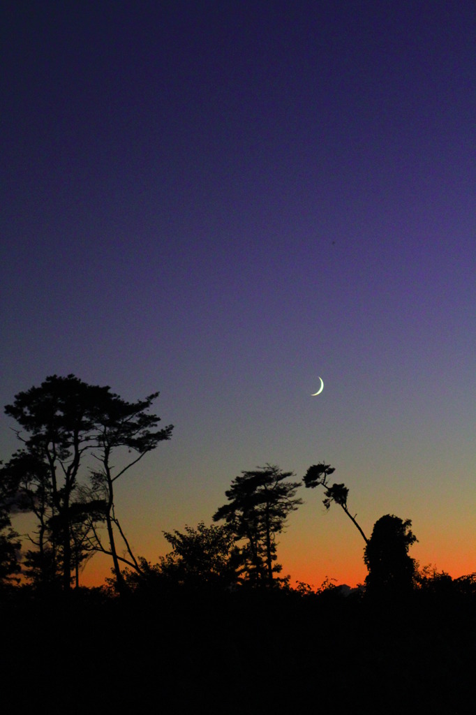 アフリカの夕景