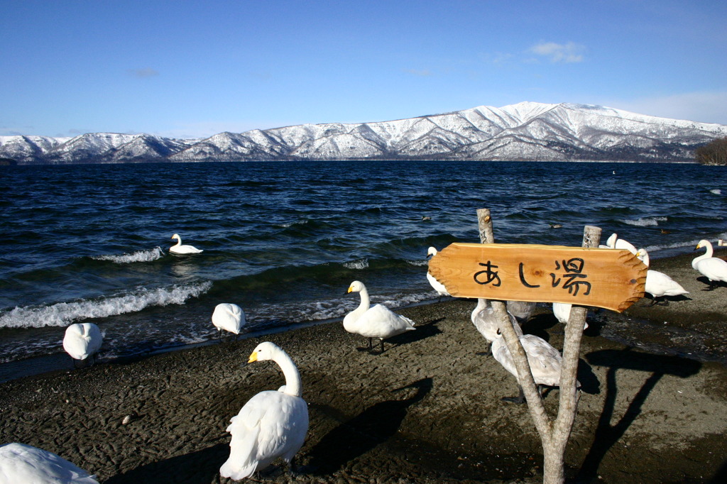 あし湯　最高！！