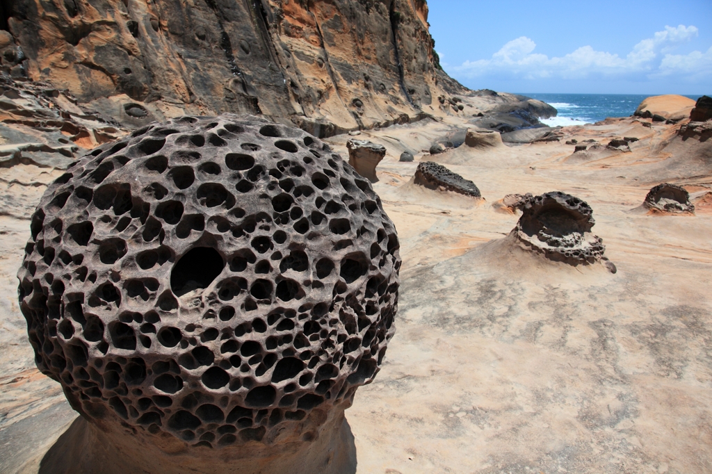  Honeycomb rock(野柳)