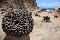  Honeycomb rock(野柳)