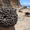  Honeycomb rock(野柳)