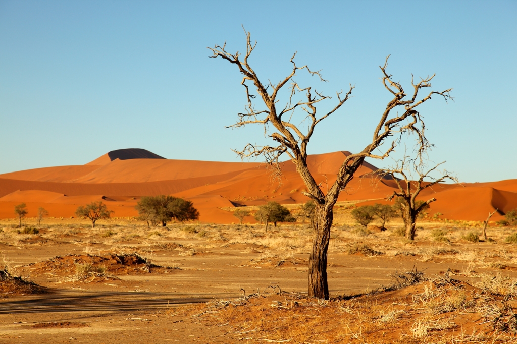 Namib Desert