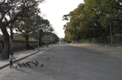 道