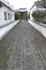 道　まっすぐに