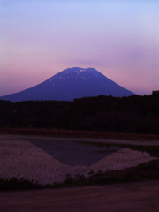 北海道