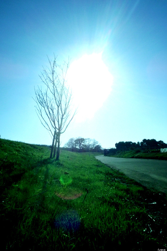Shine