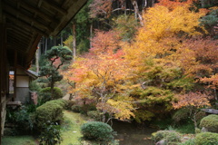 庭園