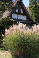 五箇山・相倉合掌集落