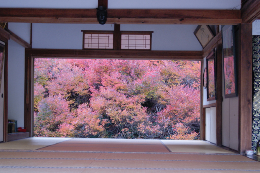 但馬安国寺