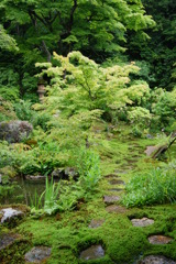 実相院
