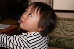 ぼくに何か・・・